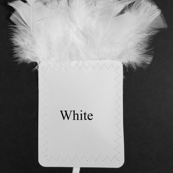 New - White Genuine Feather Pocket Square Insert - Picture 5 of 6